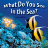 What_do_you_see_in_the_sea_