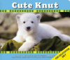 Knut__the_baby_polar_bear