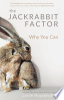 The_Jackrabbit_Factor__Why_You_Can