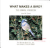 What_makes_a_bird_