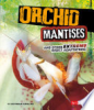 Orchid_mantises