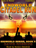 Citadel_Run