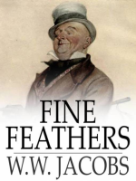Fine_Feathers