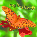 Busy__busy__butterfly