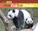 From_cub_to_panda
