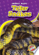 Tiger_snakes