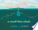 A_small_blue_whale