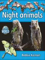 Night_Animals