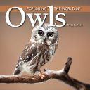 Exploring_the_world_of_owls