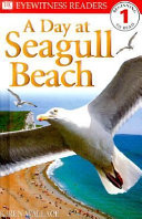 A_day_At_Seagull_Beach