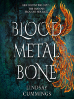 Blood_Metal_Bone
