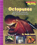 Octopuses_and_other_animals_with_amazing_senses