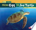 From_egg_to_sea_turtle
