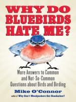 Why_Do_Bluebirds_Hate_Me_