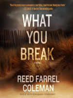 What_You_Break