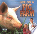 Life_on_a_pig_farm
